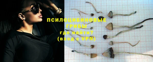 твердый Алексин