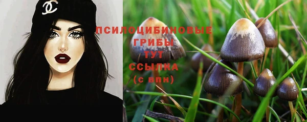 кокаин колумбия Тайга
