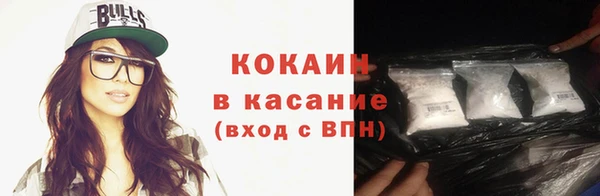 ПСИЛОЦИБИНОВЫЕ ГРИБЫ Дмитриев