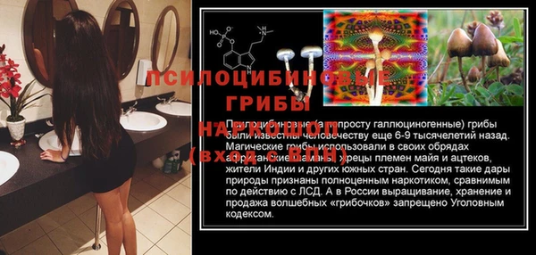 твердый Алексин