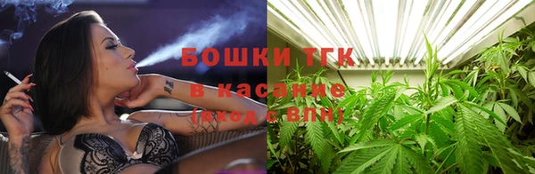 гидра Дмитров